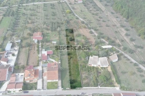 Terreno