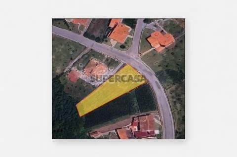 Planta