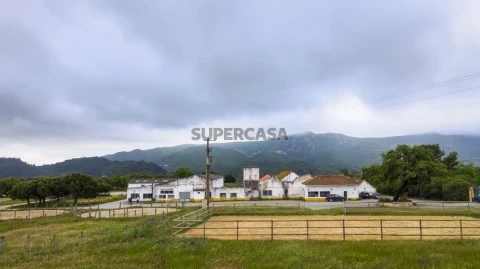 Captura de ecrã 2021-05-01, às 16.51.40
