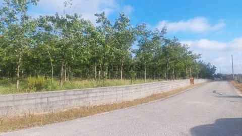 Terreno 7000m2 | Meirinhas | Carvalhos