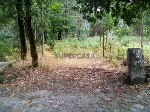 Terreno em Remelhe, Barcelos