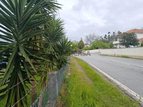 Terreno em Lama, Barcelos