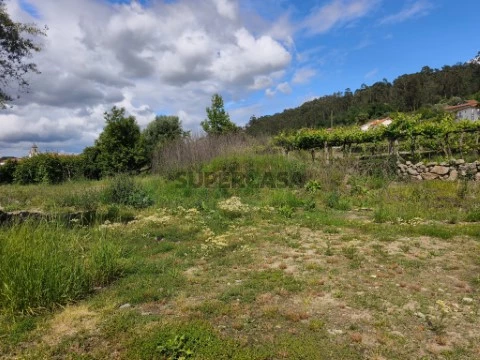 Terreno Urbano em Cossourado, Barcelos