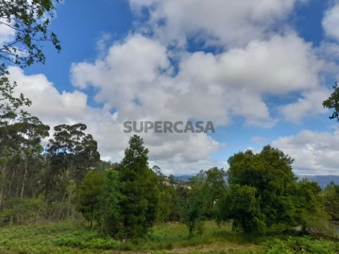 Terreno de construção em Palme - Barcelos
