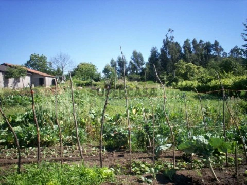 Terreno em Carvalhal, Barcelos
