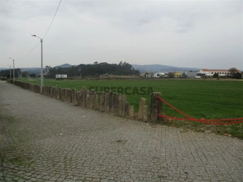 Terreno em Alvelos, Barcelos