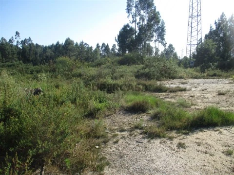 Terreno Industrial em Ucha, Barcelos