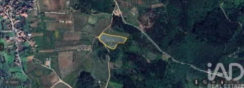 Lote em São Miguel, Santa Eufémia e Rabaçal, Penela