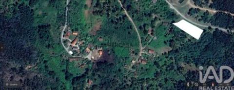 Lote em Espinhal, Penela