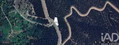 Lote em Espinhal, Penela