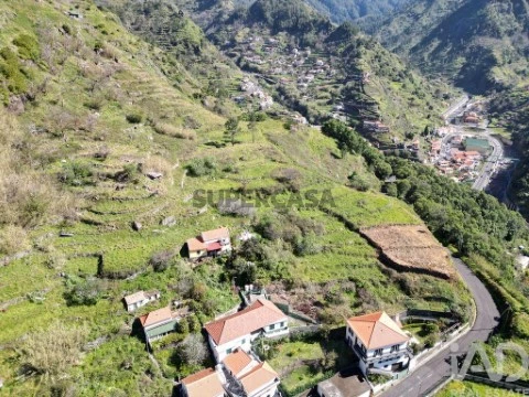 Lote em Serra de Água, Ribeira Brava