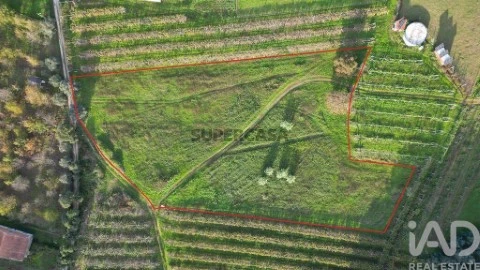 Lote em Sangalhos, Anadia