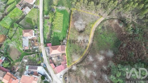Lote em Espinhal, Penela