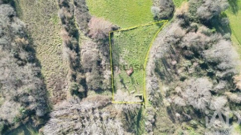 Lote em Espinhal, Penela