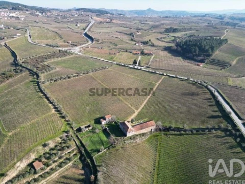 Moradia T0 em Alijó, Alijó