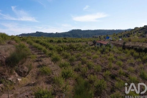 Lote em Lamas, Miranda do Corvo