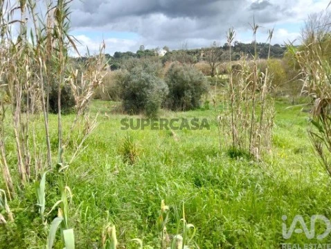 Lote em Outeiro da Cortiçada e Arruda dos Pisões, Rio Maior