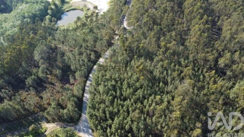 Terrain au Casal dos Bernardos, Ourém