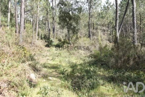 Parcela en Rio de Couros, Ourém