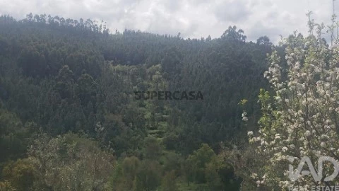 Lote em Cardigos, Mação