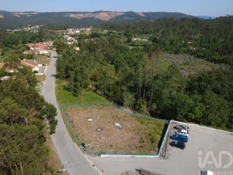 Lote na Lousã, Lousã