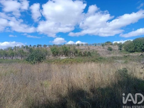 Lote em Azinhoso, Mogadouro