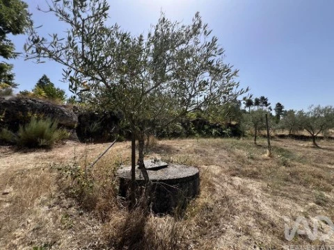 Lote em Sernancelhe e Sarzeda, Sernancelhe