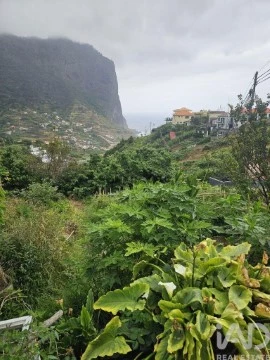 Lote em Porto da Cruz, Machico