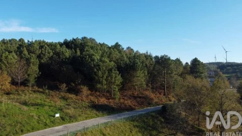 Perceel Op Moledo, Castro Daire