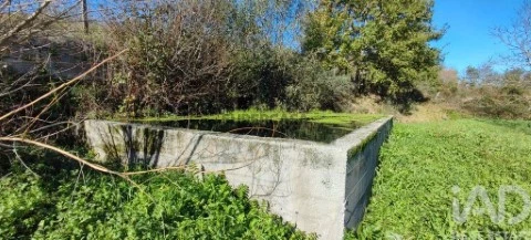 Perceel Op Mões, Castro Daire