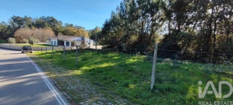 Lote em Mões, Castro Daire