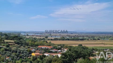 Lote em Chamusca e Pinheiro Grande, Chamusca