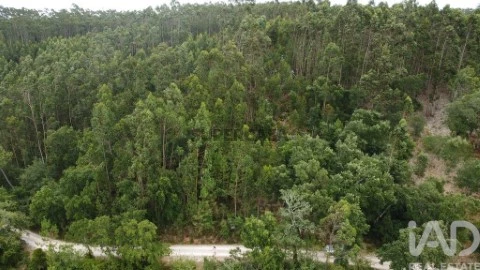 Lote em Pombal, Pombal