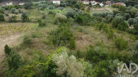 Lote em Pombal, Pombal