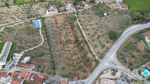 Lote em São Miguel, Santa Eufémia e Rabaçal, Penela