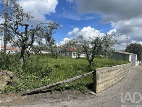 Lote em Santa Cruz, Almodôvar