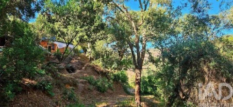 Lote em Marmelete, Monchique