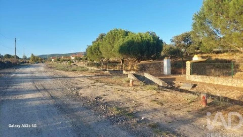 Lote em Urra, Portalegre