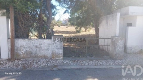 Lote em Urra, Portalegre