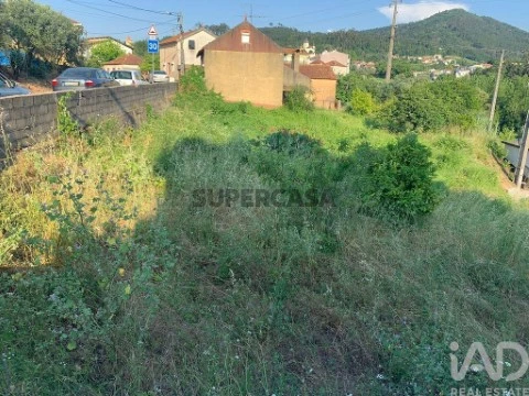 Lote em Luso, Mealhada