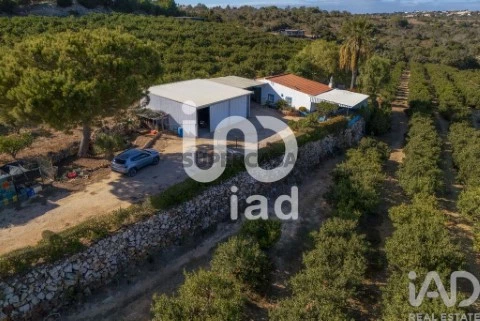 Moradia T1 em Pêra, Silves