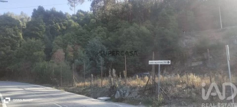 Lote em Luzim e Vila Cova, Penafiel