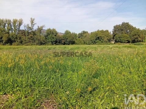 Lote em Anais, Ponte de Lima