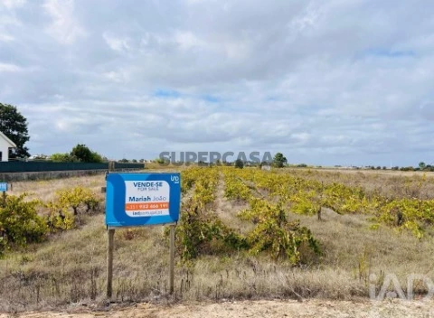 Lote em Alpiarça, Alpiarça