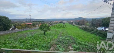 Lote em São Miguel, Santa Eufémia e Rabaçal, Penela