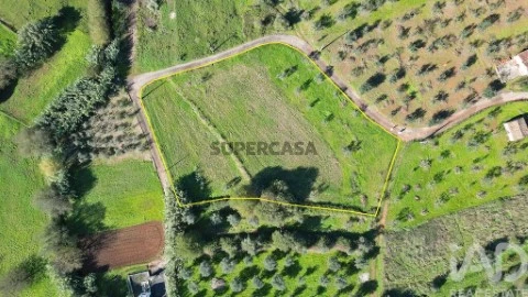 Lote em Podentes, Penela