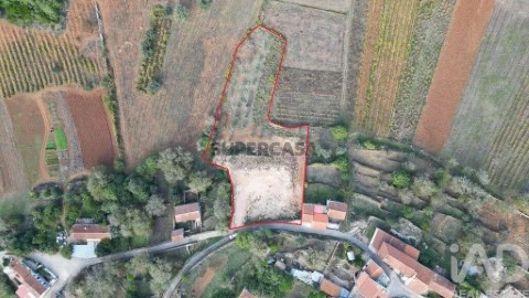 Lote em São Miguel, Santa Eufémia e Rabaçal, Penela