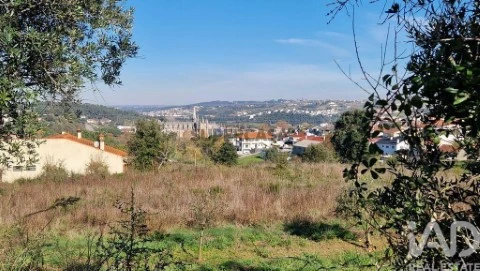 Lote na Batalha, Batalha