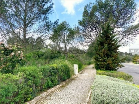Lote em Belas, Sintra