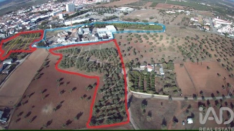 Lote em Santo Agostinho e São João Baptista e Santo Amador, Moura